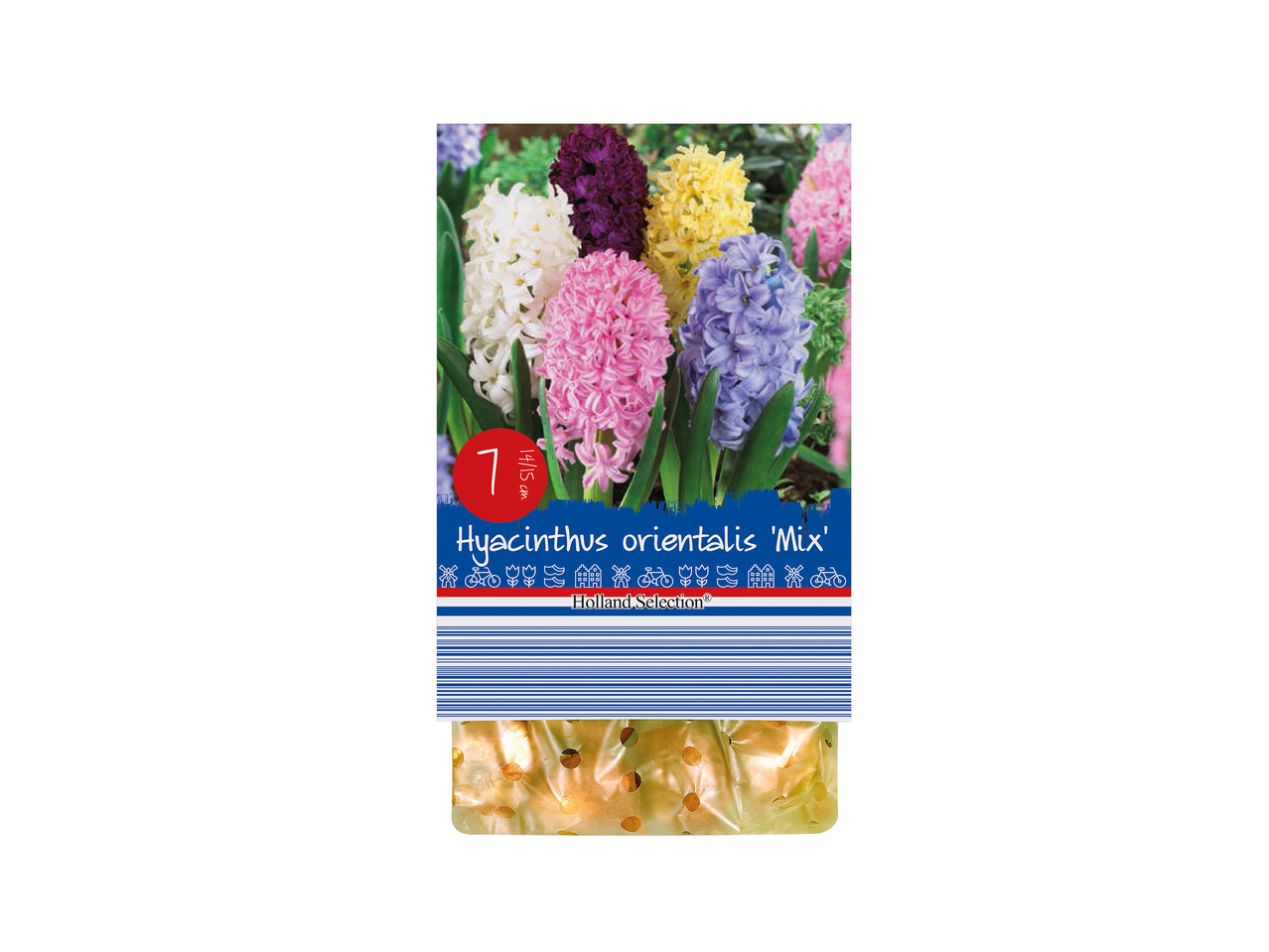 Spring Flowering Bulbs1