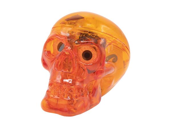 Skull with Sweets