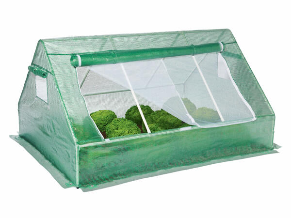 Cold Frame