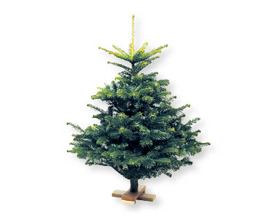 Mini albero di Natale