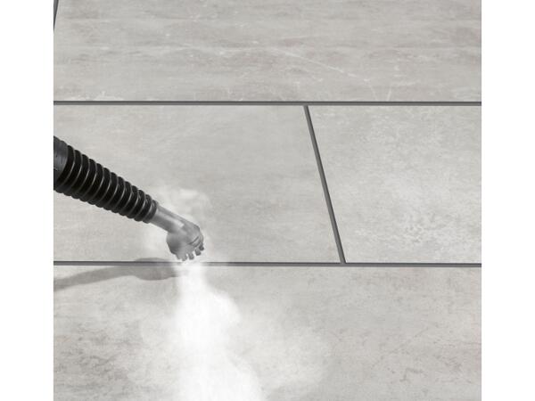 Hand-Held Steam Cleaner