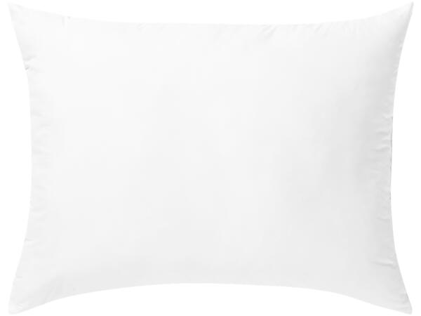 Anti-Mite Pillow