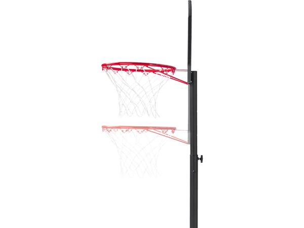 Portable Basketball Hoop & Stand