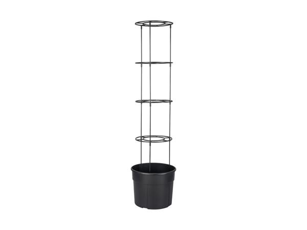 Tomato Planter