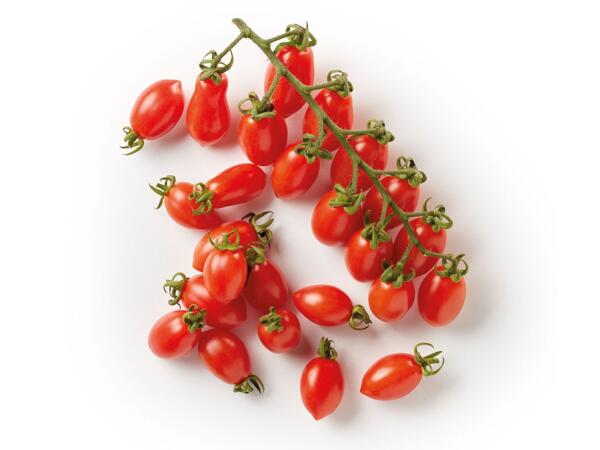Datterino Tomatoes