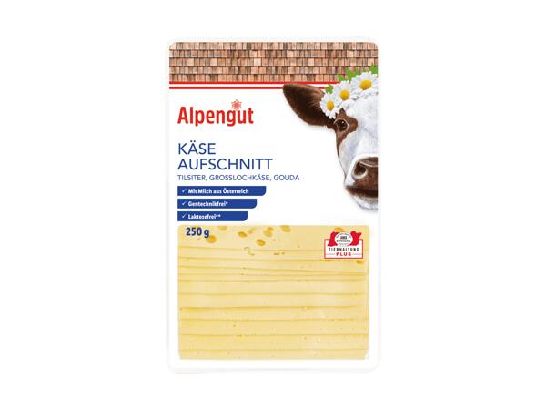 Käseaufschnitt in Scheiben