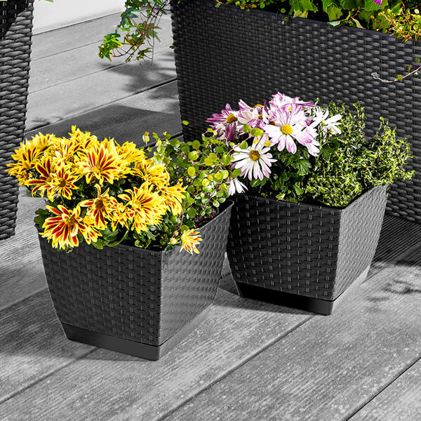 Blumentopf 2er-Set