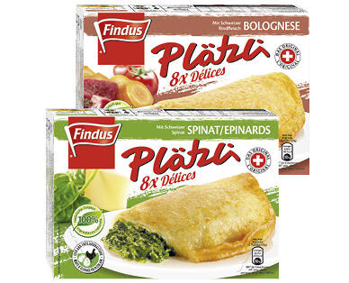 FINDUS(R) SOFFICINI