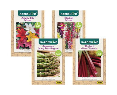 Packet Bulbs