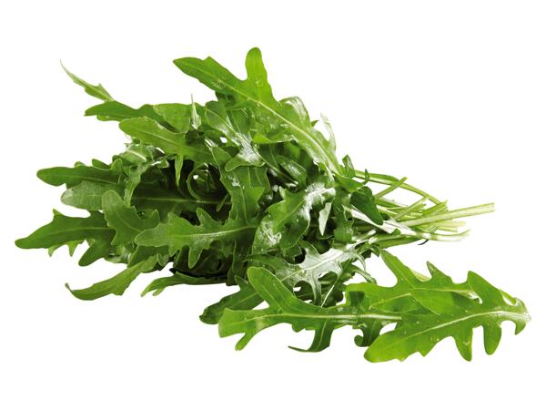 Ruccola