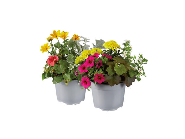 Sommarmix