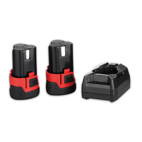 Li-Ion Akku-Entaster 12 V inklusive 2 Akkus