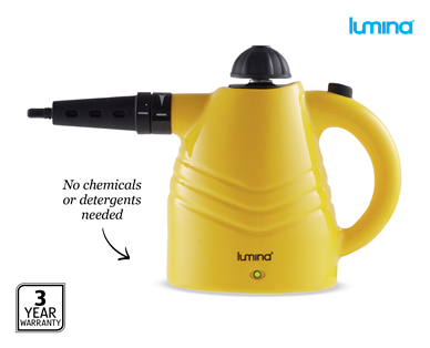STEAM CLEANER