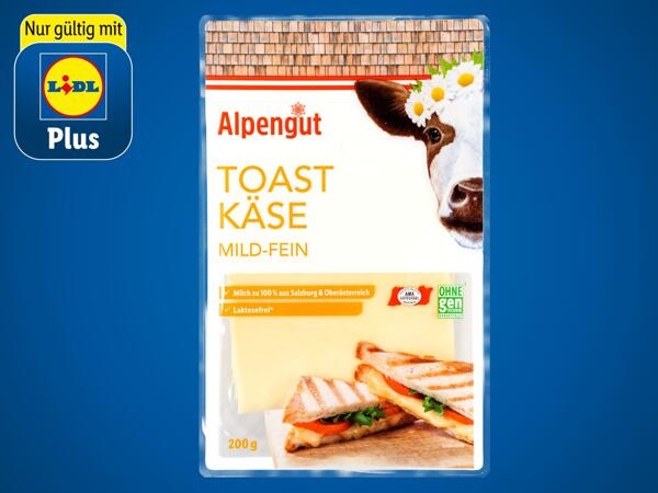 Toastkäse in Scheiben