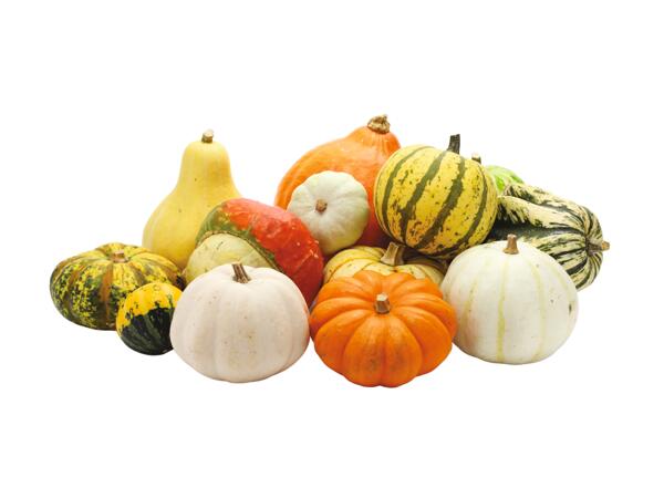 Mixed Gourds