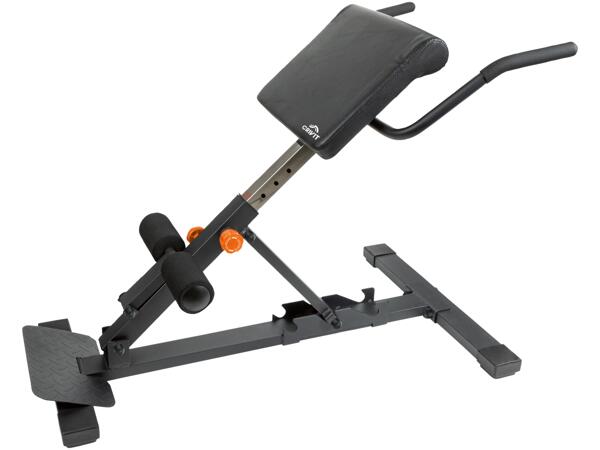 Multi Trainer