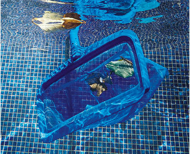 Pool Scoops