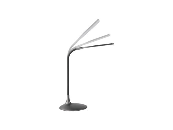 LED Desk Lamp