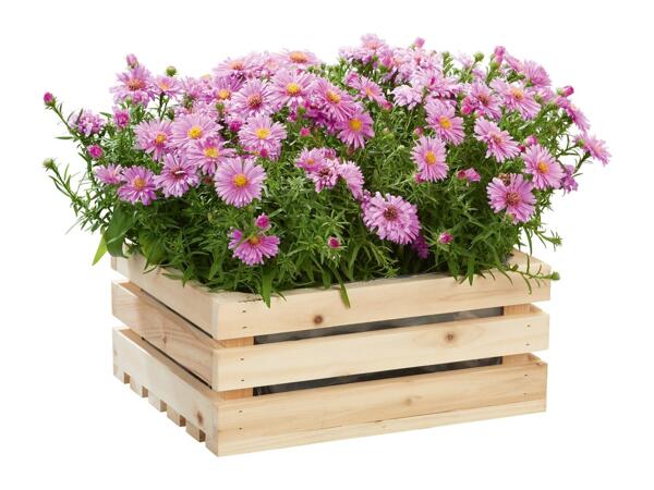 Parkside Wooden Planter - Light