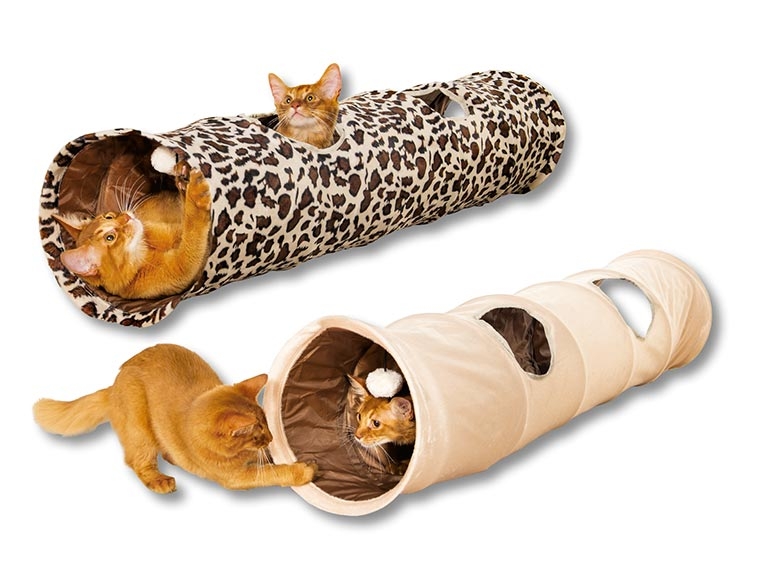 Tunnel de jeu pour chat