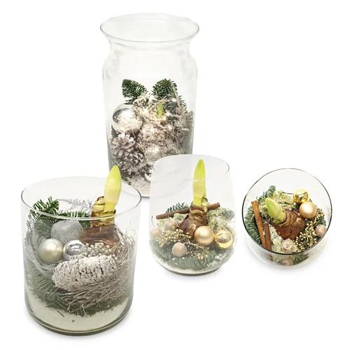 bepflanzte Arrangements XMAS