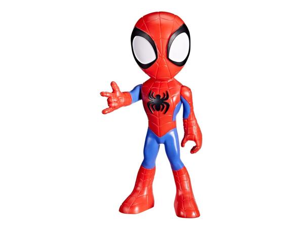 Maxi Collectible Characters