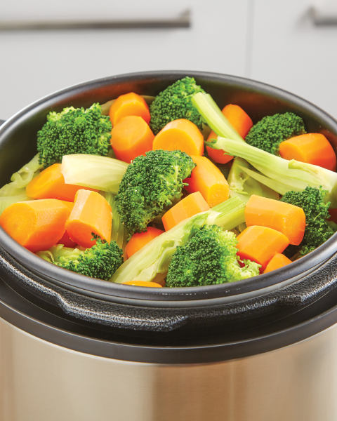 Electric Multi Cooker