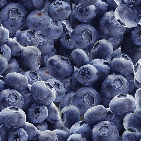 Heidelbeeren