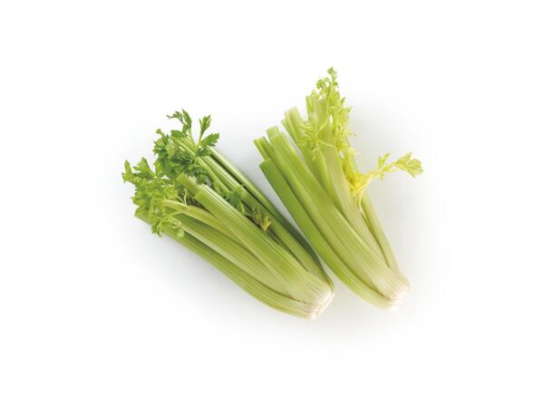 Green Celery
