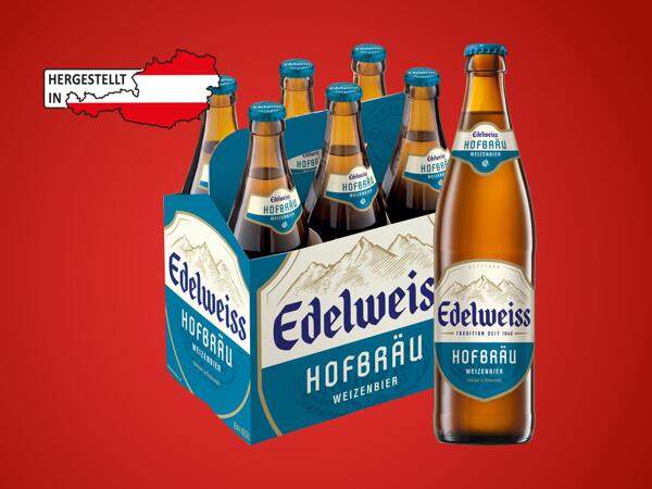 Hofbräu 6er