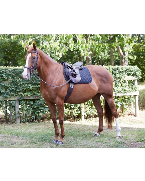Crane Equestrian Saddle Pad