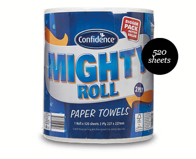2Ply Bulk Paper Towels