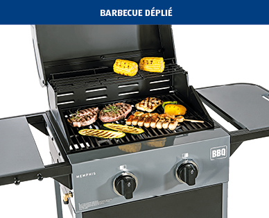 Barbecue à gaz Memphis BBQ