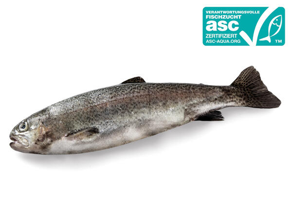 ASC Frische Forelle