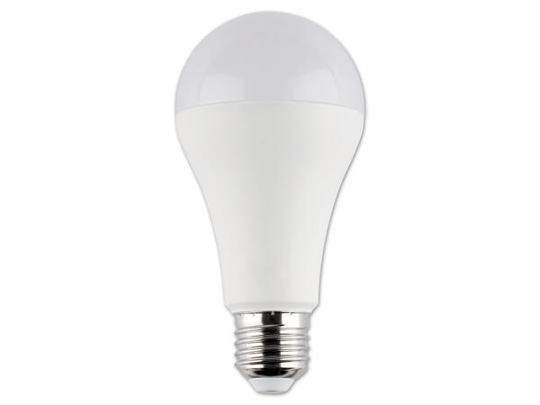 LED-Lampe, 16,9 W