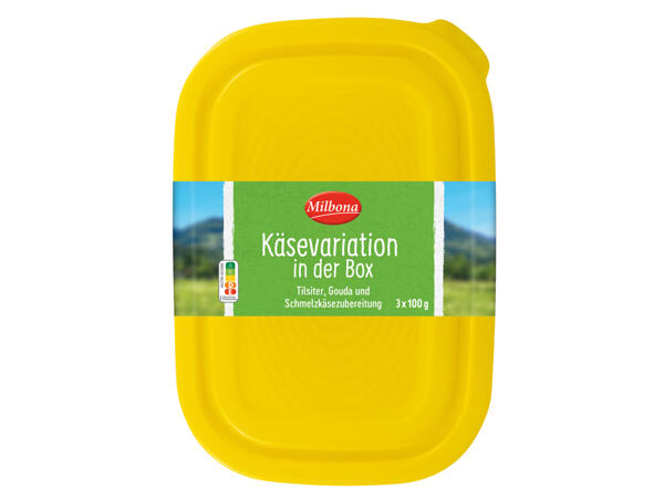 Käsevariation in der Box