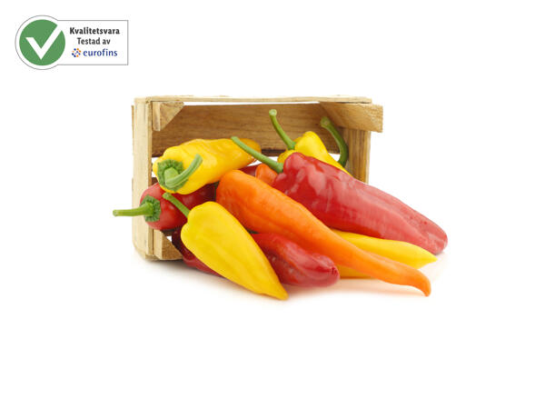 Spetsig paprika mix