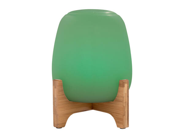 Table Lamp for Outdoor Use