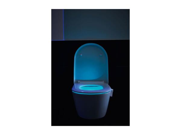 Livarno Home Toilet Night Light