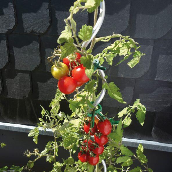 GARDENLINE 				Estacas para Tomateiros/ Plantas
