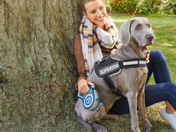 Dog Harness Distributer