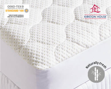 Bamboo Mattress Protector Queen Size
