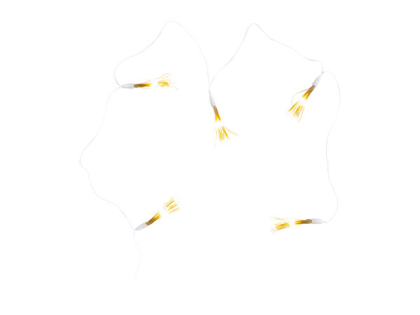 Livarno Home 200 LED String Lights