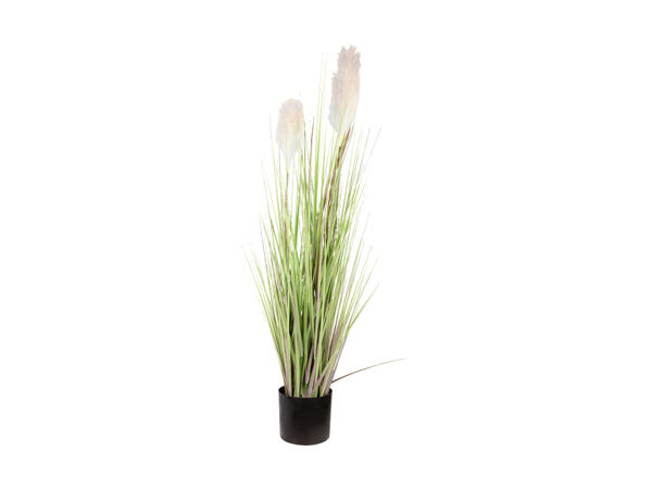 LIVARNO HOME(R) Kunstig plante