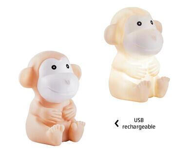 Sleepy Friend Night Light