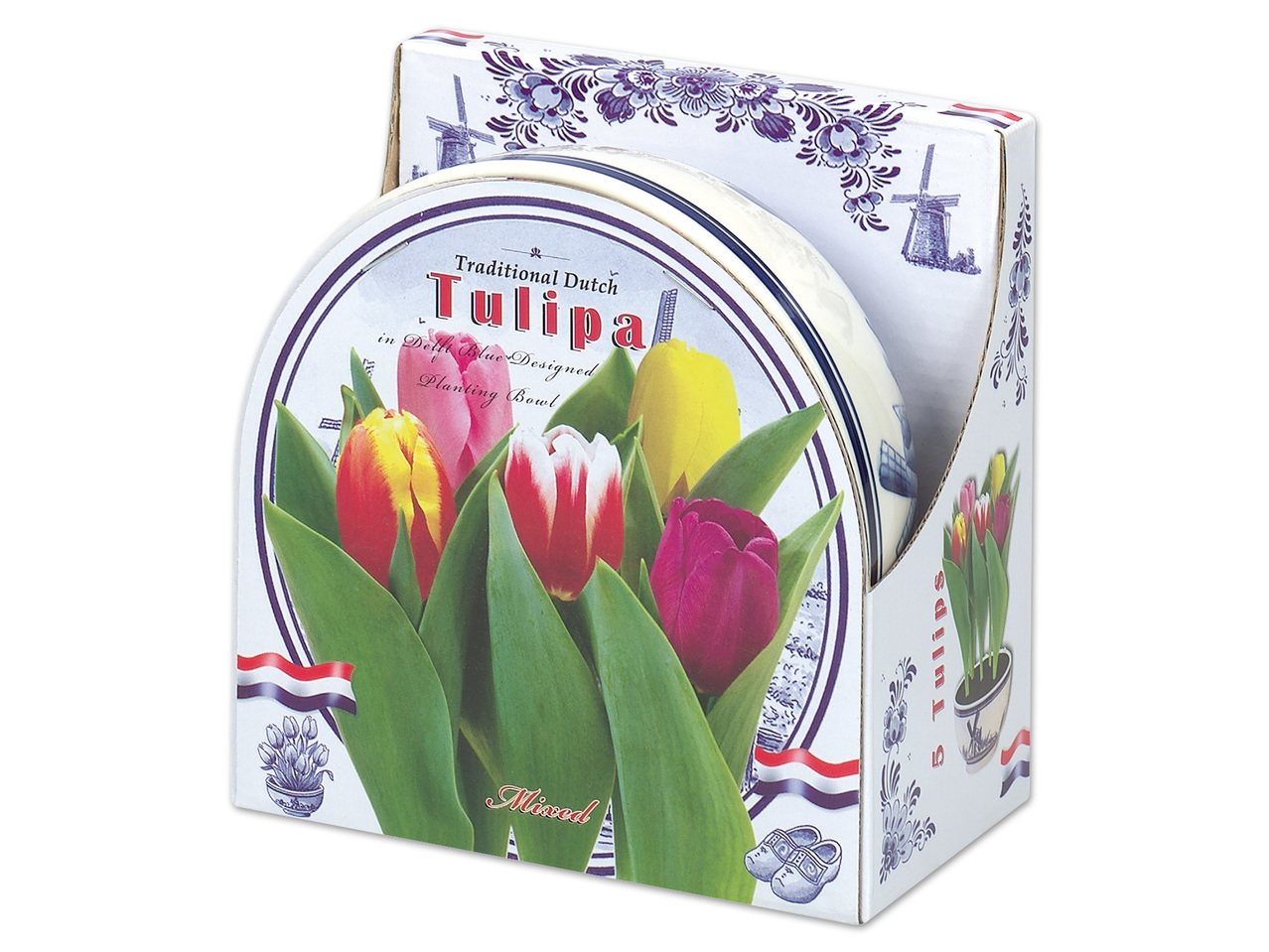 Blumenzwiebel in Keramikschale mit Untersetzer
