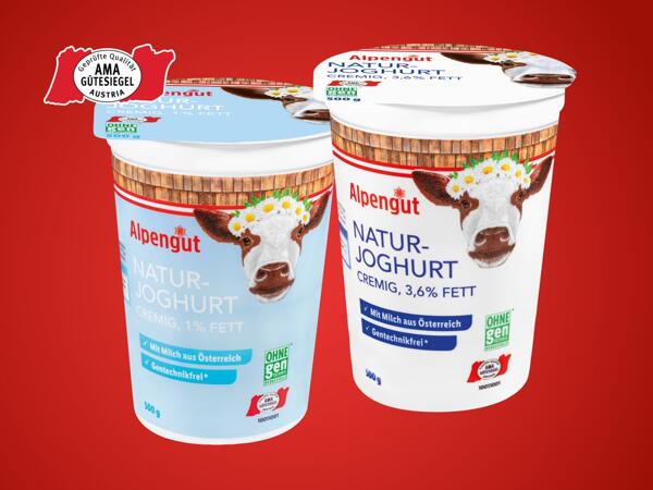 Naturjoghurt