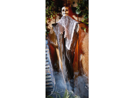 Halloween Novelties