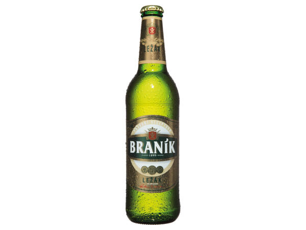BRANÍK