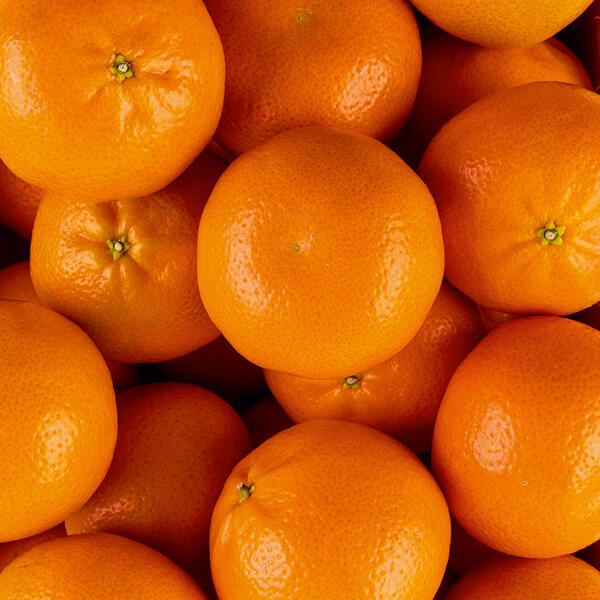 Mandarinen "Götterfrucht"